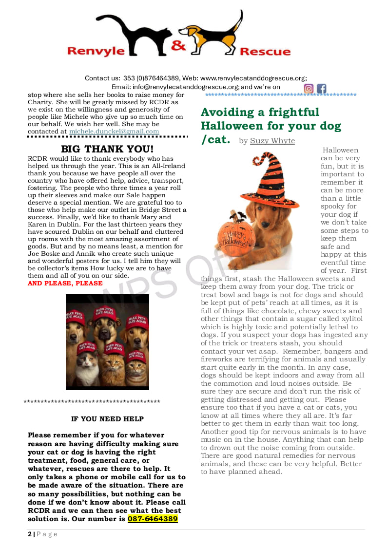 newsletter2